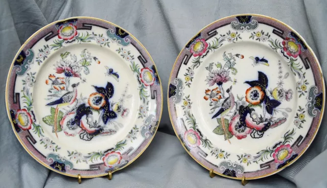 Paire Assiette Faisan, Ridgway & Morley, Hanley Staffordshire, England, 1842-45