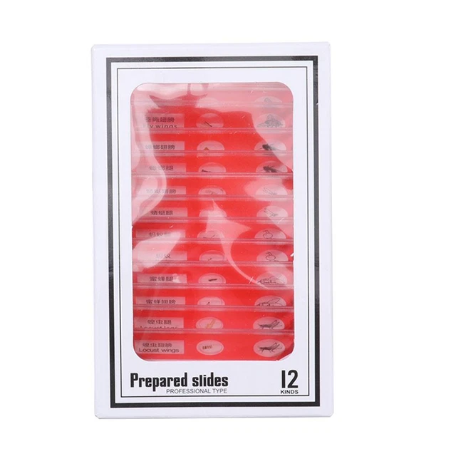 Animals Insects Plants Flowers Microscope Sample Prepared Slides