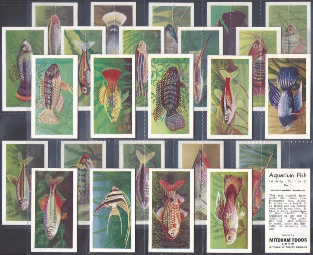 Mitcham-Full Set- Aquarium Fish 1957 (1St Series 25 Cards) Excellent