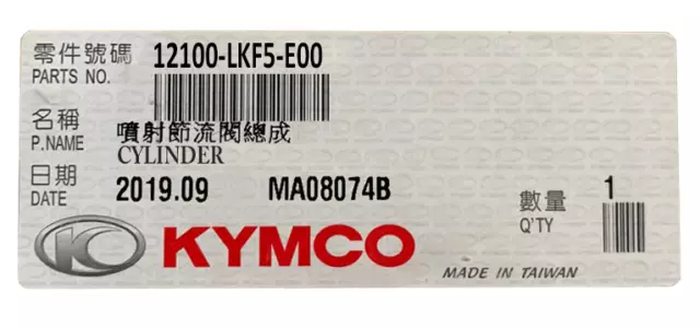 NEW OEM KYMCO Cylinder Zylinder Kymco Xciting 400