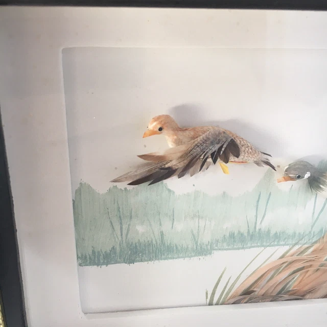 Ancien tableau, canards avec véritables plumes, sur aquarelle