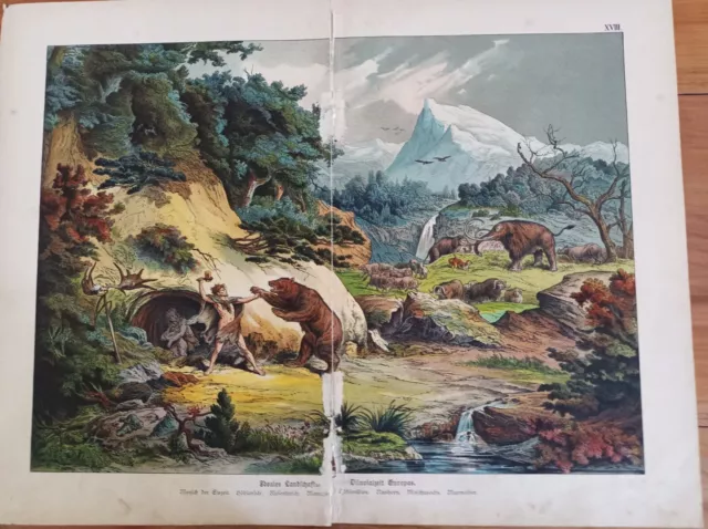 Farb-Lithographie Bildtafel aus einem Buch um 1900, Diluvialzeit Europa