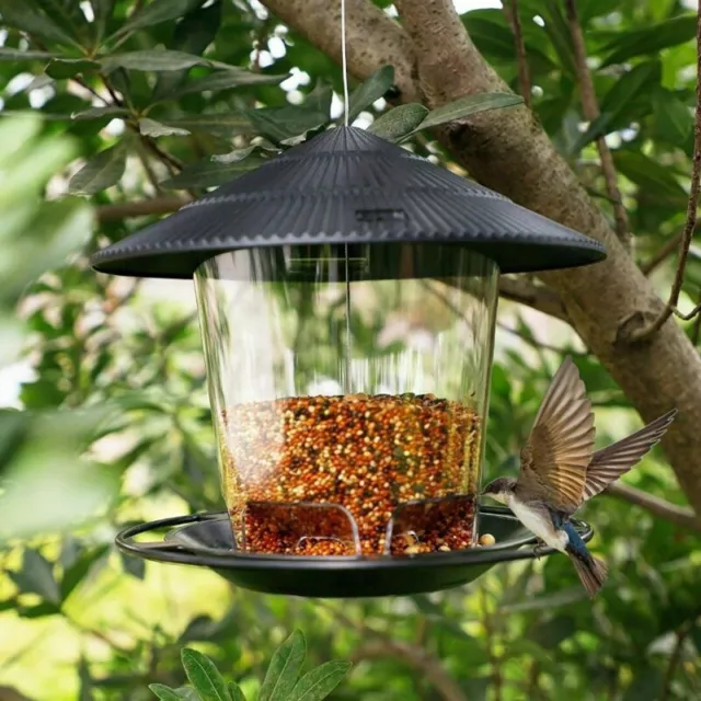 Mangiatoia per Uccelli selvatici all'aperto Rimovibile Impiccagione Cibo Albero