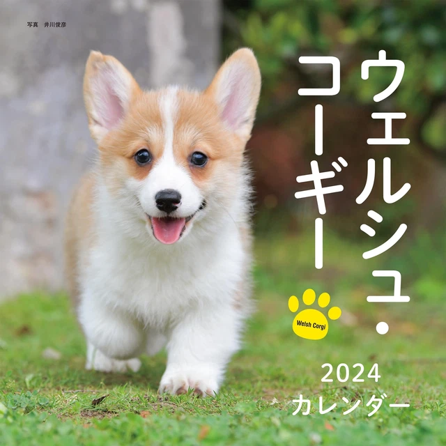 2024 CALENDAR WELSH (Seibundo Shinkosha calendar) £25.28