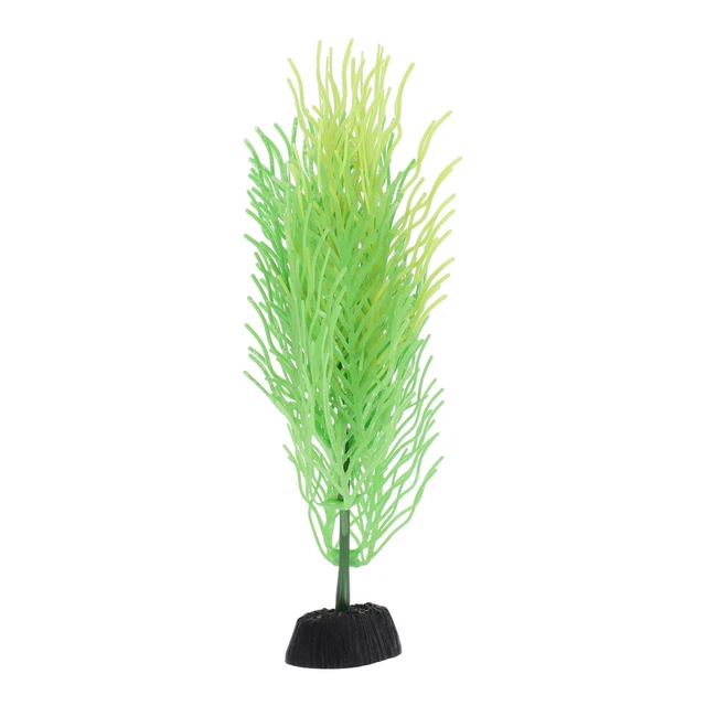 Termometri Adesivi Per Acquario - 3 Pezzi Digitali Con Doppia Scala Celsius/Fahrenheit - Foto 12