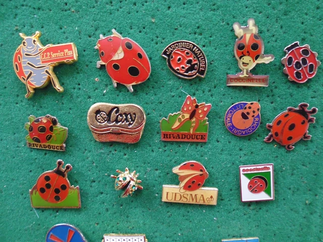 Baker Ross Lot de 6 Coccinelles 5051173016263 | Promo Alert Baker Ross Lot de 6 Coccinelles 5051173016263 | Promo Alert