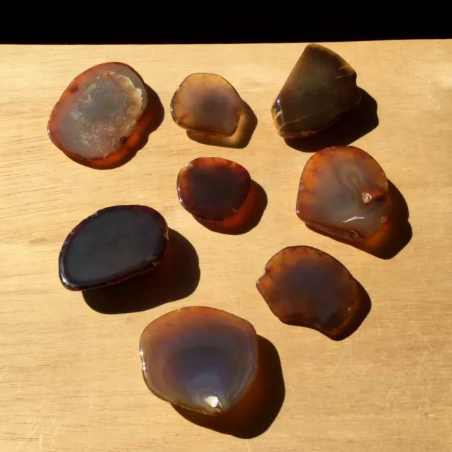 1lb Lot 8 Agate Geode Slices Polished End Cut Stones Mixed Natural Brown Crystal