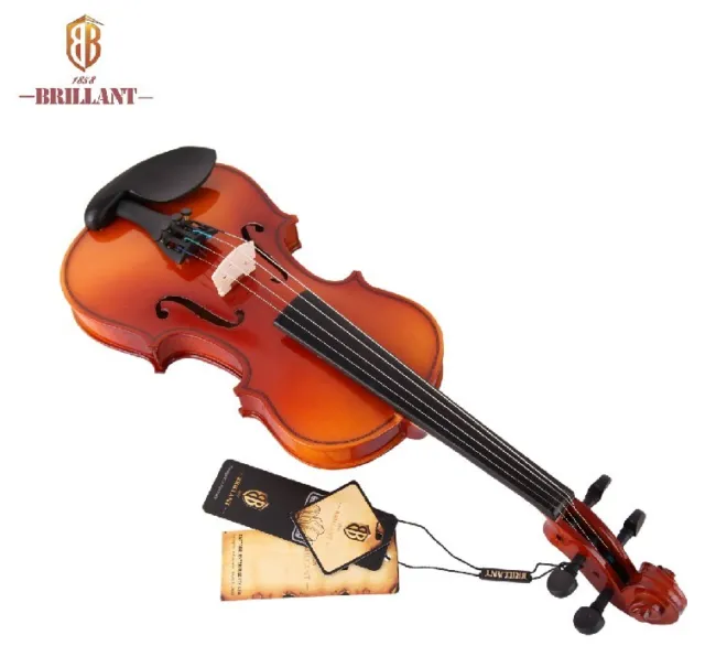 Brillant Student Violin Outfit 4/4 Size Comes with Hard Case, Bow and Rosin