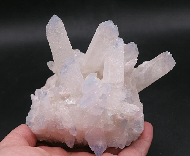 755g New Find Blue Phantom QUARTZ Crystal Cluster Specimen