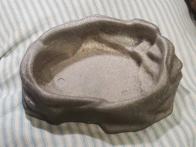 Zoo Med Repti Rock - Reptile Water Dish - Medium