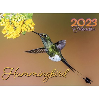 SMITH-SOUTHWESTERN, HUMMINGBIRD 2023 Wall Calendar £17.38 - PicClick UK