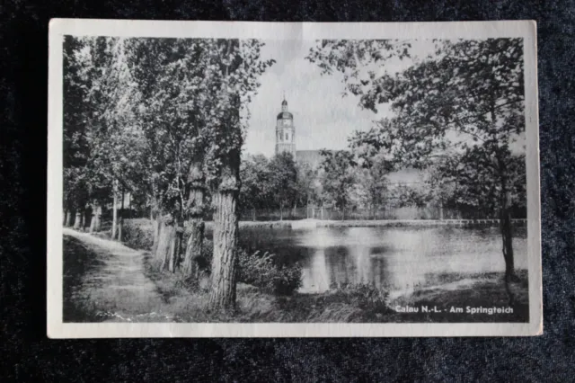 Postkarte Ansichtskarte Sachsen Calau am Springteich 1963 (F)