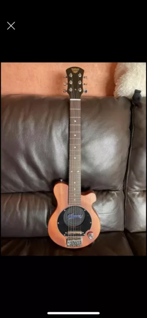 PIGNOSE GUITAR 160.00 PicClick UK