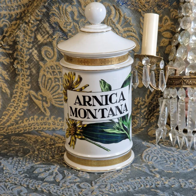 Dekoratives Apothekergefäß , Arnica Montana, 20. Jh