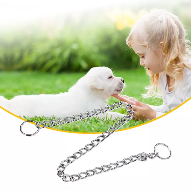 2pcs 30cm 65cm Thick Gift WalkingCollar Practical No Pull P Chain For Dog