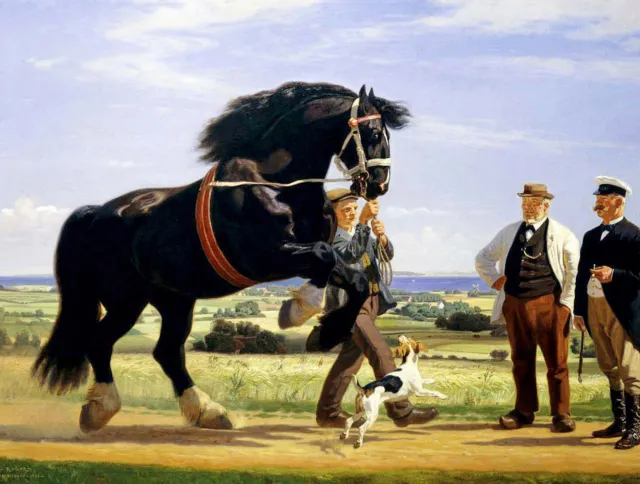 Rasmus Christiansen "Black Stallion" horse Artwork PAPER or CANVAS Fine Art