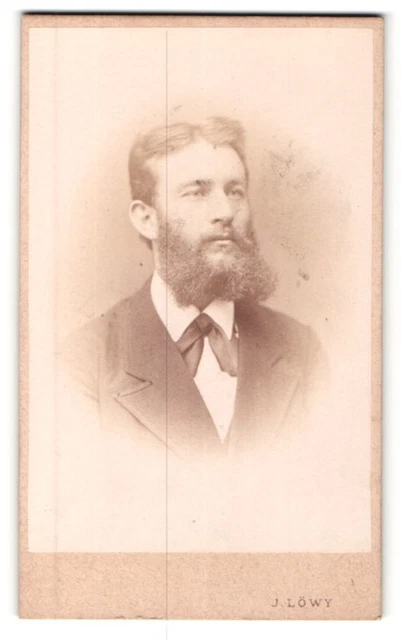Fotografie J. Löwy, Wien, Portrait stattlicher Herr im Anzug mit Vollbart