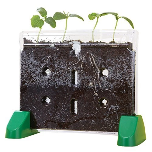 Sprout & Grow Window Plant Growing Kit, Science Kit for Homeschool &