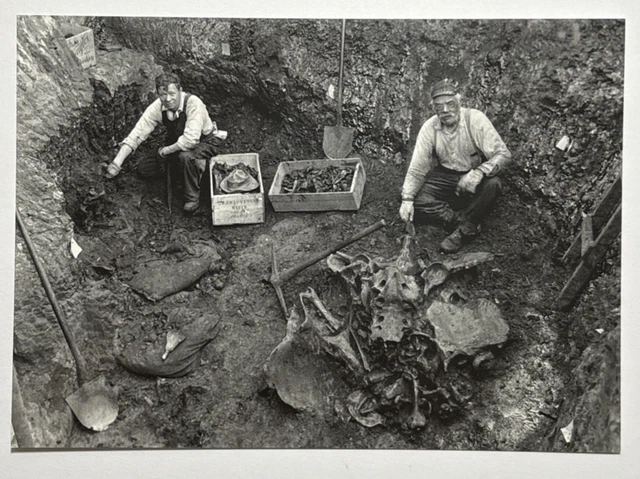 RANCHO LA BREA Tar Pits Los Angeles California CA Vintage Postcard $2.80 - PicClick