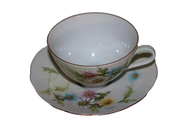 Vtg Diadem Bareuther Waldsassen Bavaria Germany 143 Cup & Saucer Pastel Daisies
