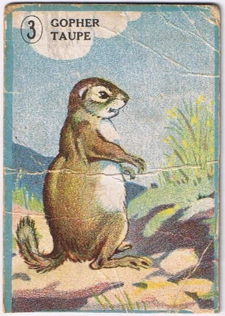 Confectionery, Food Advertising, Advertising Collectables, Collectables ...