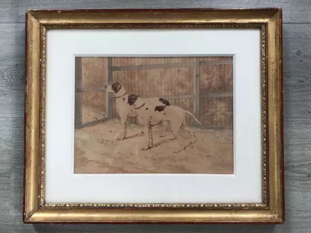 Belle Aquarelle Chien a l'affut XIXéme signée F MASSON 1899