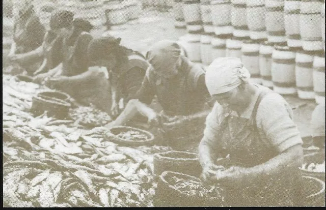 Wick, Caithness, Highland - herring gutters, 1930s - repro postcard c.1970s