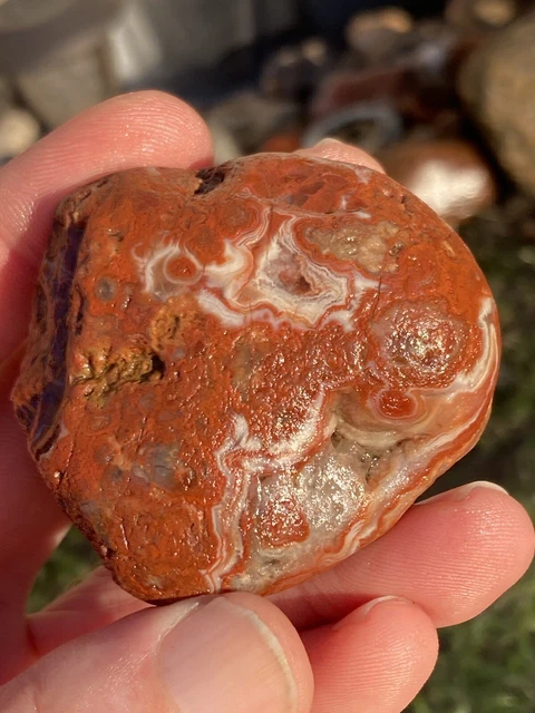 Lake Superior Agate 4.11oz
