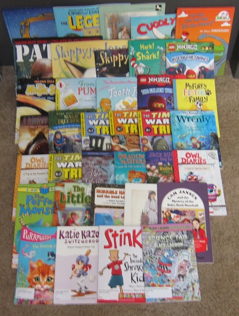 40 AR Accelerated Reader Titles - Reading Levels 3.0 - 3.9  Labeled & Ready!