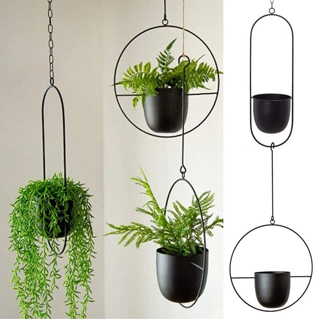 Blumenampel Innen Metall Wand Hängepflanzen 65 cm mit Topf Schwarz/Gold  Modern