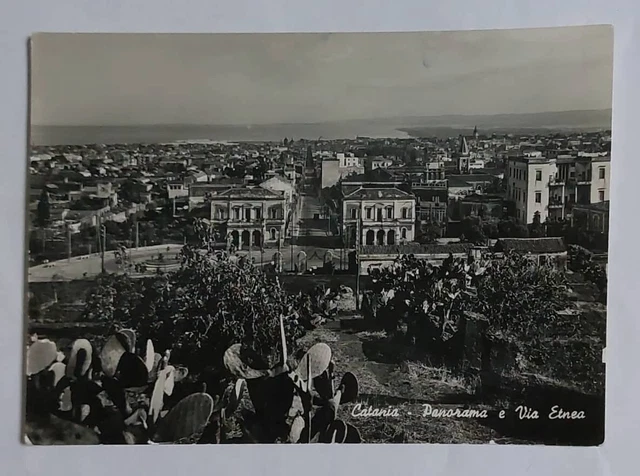 CATANIA  - Panorama e Via Etnea  , vg 1952 f.g.