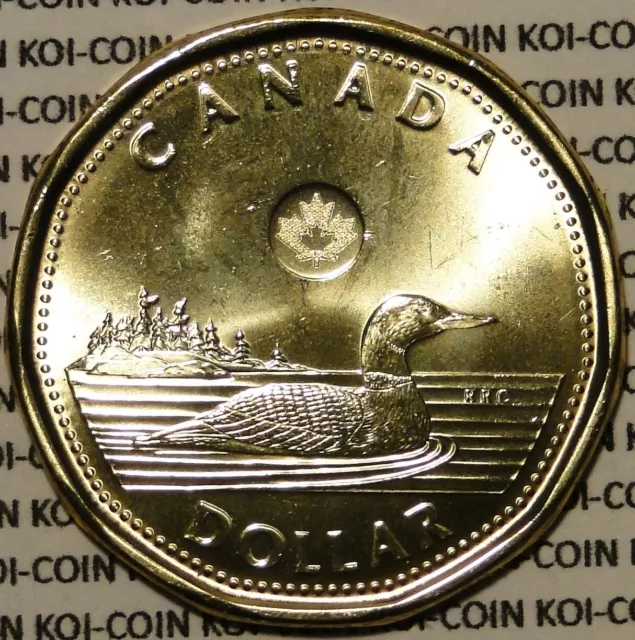 BU UNC Canada 2016 loonie $1 dollar coin from mint roll