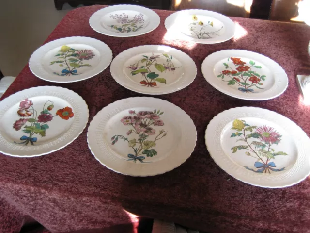 Set 6 Antique Botanic Minton Plates And 2 Bowls Circa 1880