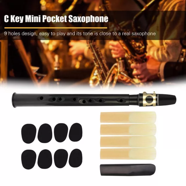 Portable Pocket Saxophone Little Sax Mini Sax Instrument Musical for Beginner UK 2