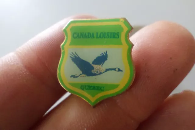 gros Pin S broche Badge CANADA LOISIR QUEBEC oiseau nature photo