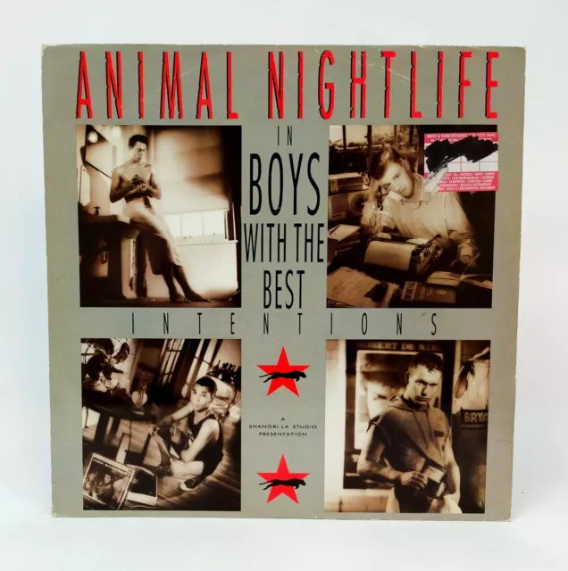 Animal Nightlife - Garçons With The Best Intentions - Musique Disque Vinyle