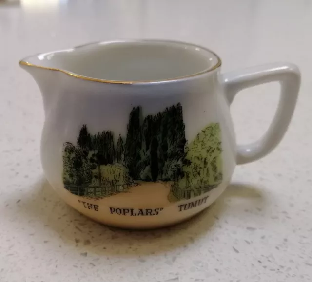 Vintage Souvenir Porcelain Jug The Poplars Tumut Royal Scenic China