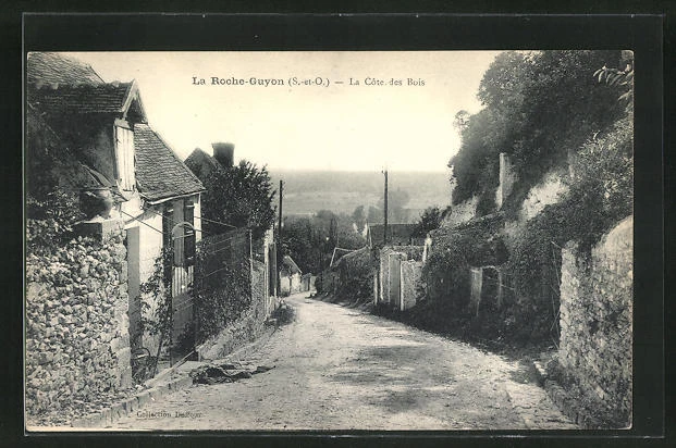 CPA La Roche-Guyon, La Cote des Bois