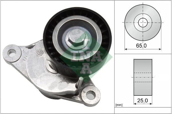 INA 534 0375 10 Tensionatore Cinghia A Vite Per Audi A4 8EC 8ED 8HE 8K2