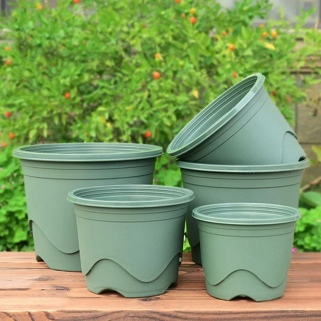 Accueil Décor de bureau Planteur Boîte succulente Pots de fleurs Pot de Plante