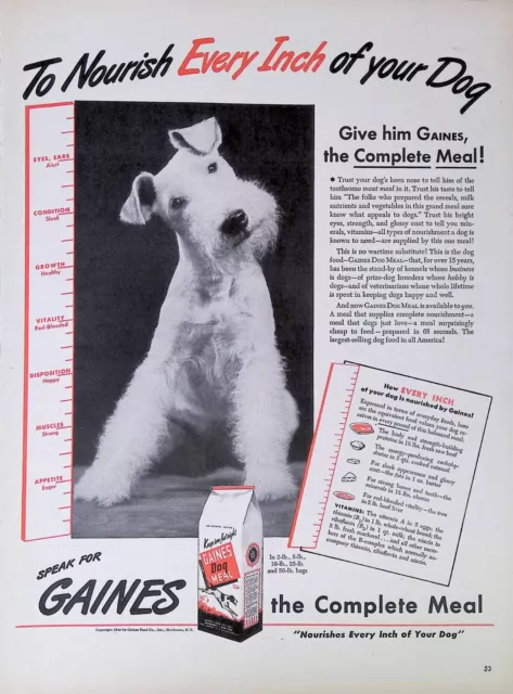 Vintage Print Ad 1944 Gaines Dog Food Meal Wire Hair Fox Terrier Nourishment