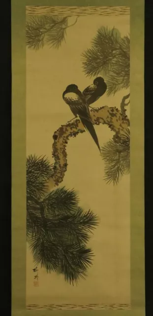 JAPANESE HANGING SCROLL ART Painting "Birds on pinetree" Asian antique  #E5164