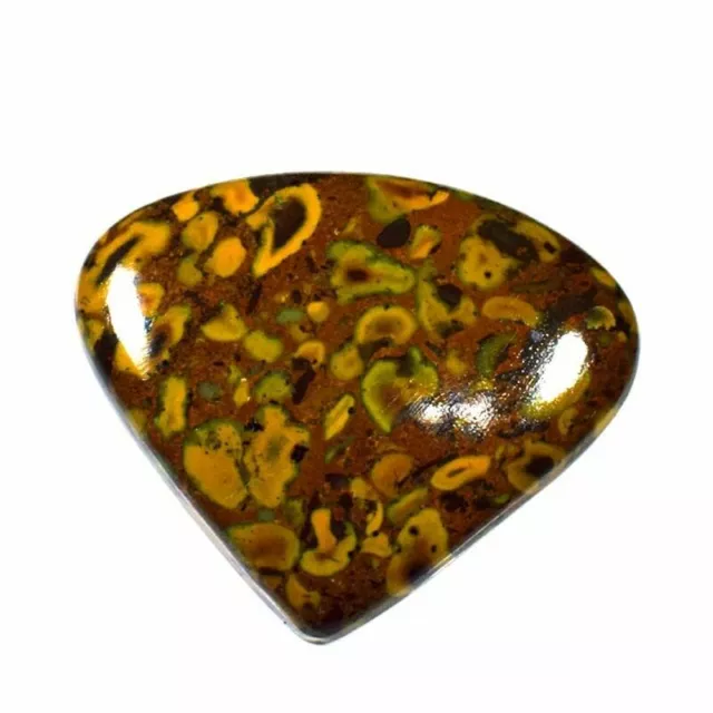 82.15 Cts Natural Designer Fruit Jasper Gemstone 36x43x7 mm Loose Cabochon F 6