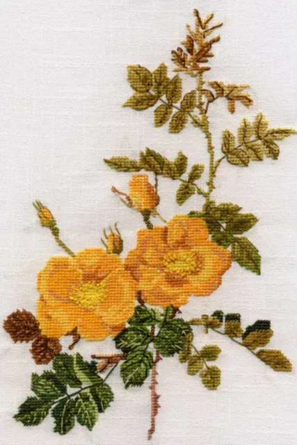 Yellow Rose counted cross stitch kit or chart 14s aida