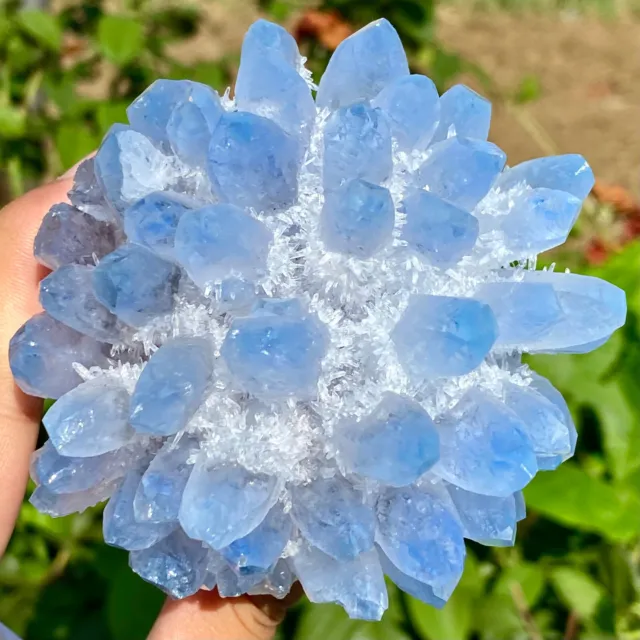 441G New Find Blue Phantom Quartz Crystal Cluster Mineral Specimen Healing.