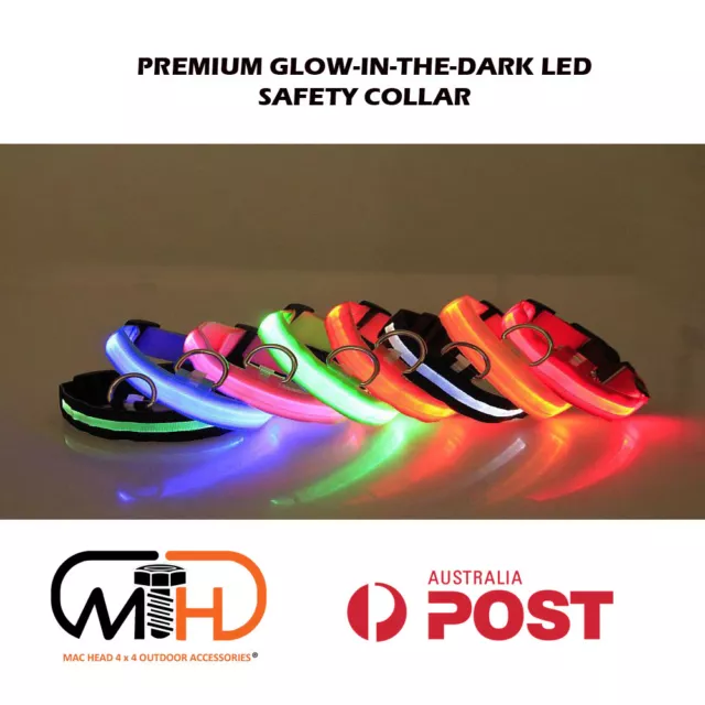 LED Glow Collar 3 Sizes Available Dog Puppy Pet Tag Flashing Light leash Nylon