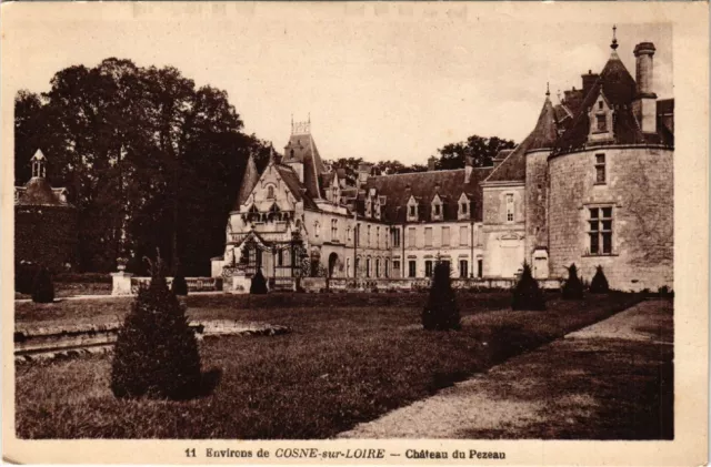 CPA AK Env. de COSNE-sur-LOIRE - Chateau du Pezeau (456585)