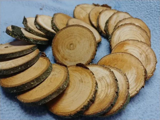 (21) Rebanadas delgadas de galletas de madera de pacana de 1-1/2" X 4 mm de espesor borde vivo...