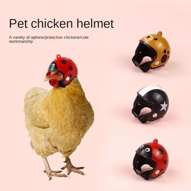 Accessories Pet Protective Headgear PP Bird Protect Cap New Chicken Helmet