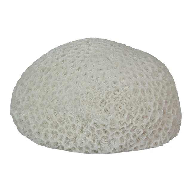6 Inch Resin LED Brain Coral Accent Lamp Decorative Sea Table Light Nautical
